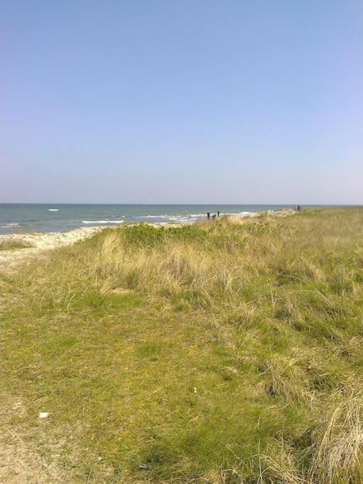Erholung Auf Dem Land Zwischen Ostsee Und Schlei Stoltebull Luaran gambar